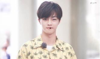 圈内爆料肖战陈立农